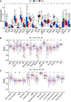 Analysis and identification of the necroptosis landscape on therapy and prognosis in bladder cancer